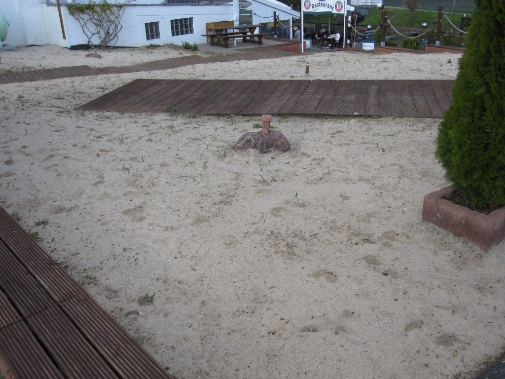 Ein Sandkasten dient hier als Brutplatz einer großen Kolonie der Frühlings-Seidenbiene (Colletes cunicularius)